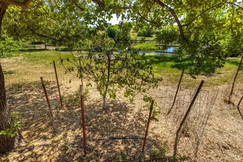Exterior - 4046 Central Ln, Winters, CA 95694 photo 17 of 22