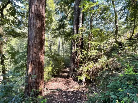 8235 Tyrone Rd, Monte Rio, CA 95419 photo 7
