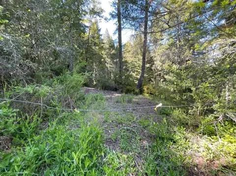 8235 Tyrone Rd, Monte Rio, CA 95419 photo 5