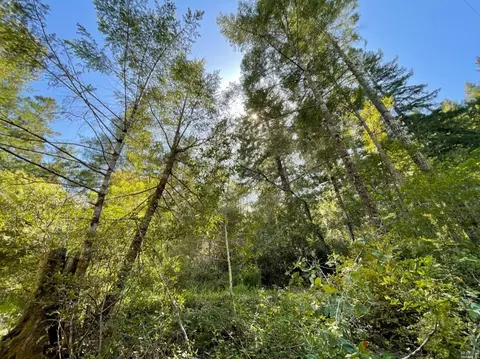 8235 Tyrone Rd, Monte Rio, CA 95419 photo 3
