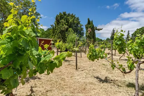 22650 Broadway, Sonoma, CA 95476 photo 29