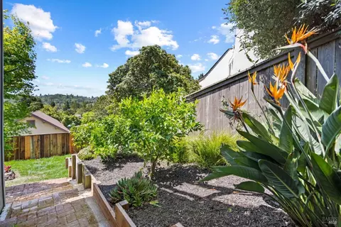 7 Manor Ter, Mill Valley, CA 94941 photo 50