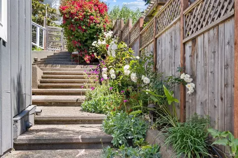 7 Manor Ter, Mill Valley, CA 94941 photo 49