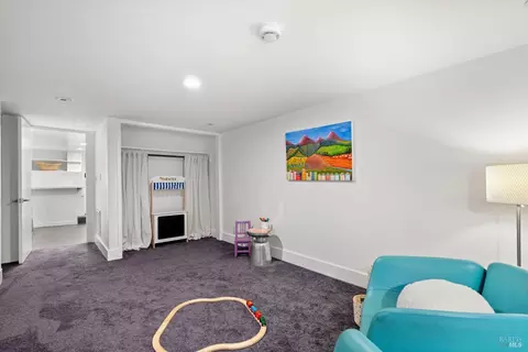 7 Manor Ter, Mill Valley, CA 94941 photo 43
