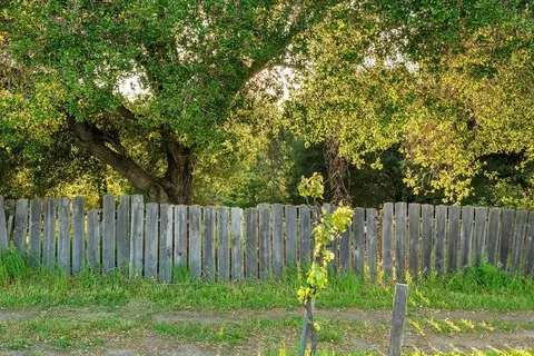 100 Sparkes Rd, Sebastopol, CA 95472 photo 18