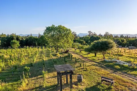 100 Sparkes Rd, Sebastopol, CA 95472 photo 16