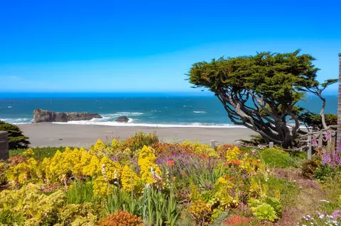 7048 Cliff Ave, Bodega Bay, CA 94923 photo 44
