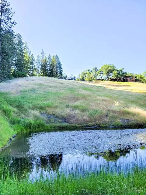 4991 Ridgewood Rd, Willits, CA 95490 photo 38