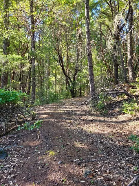 4991 Ridgewood Rd, Willits, CA 95490 photo 34