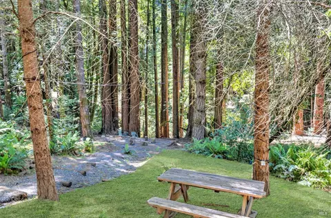 2962 Joy Rd, Occidental, CA 95465 photo 33