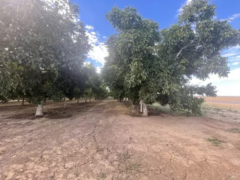 9085 Campbell Rd, Dixon, CA 95620 photo 35
