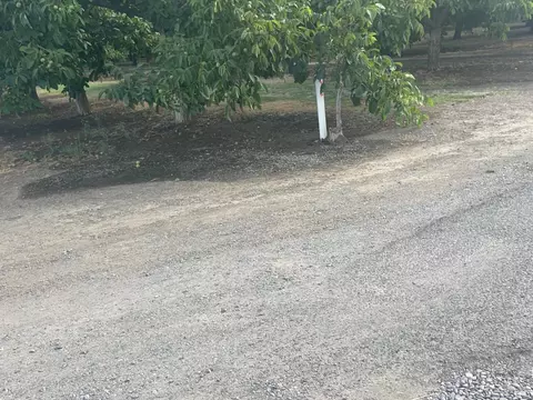 9085 Campbell Rd, Dixon, CA 95620 photo 31