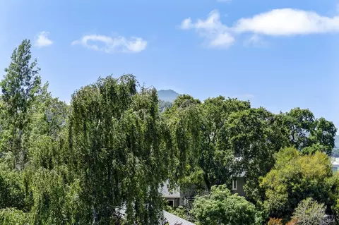 14 Enterprise Dr, Corte Madera, CA 94925 photo 43
