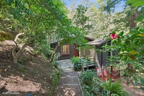 25 Renz Rd, Mill Valley, CA 94941 photo 30