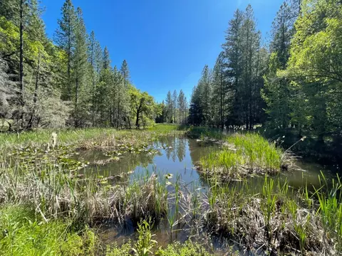 2401 Tenmile Creek Rd, Laytonville, CA 95454