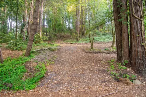17532 Woods Ave, Guerneville, CA 95446