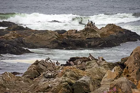 398 Del Mar Pt, The Sea Ranch, CA 95497