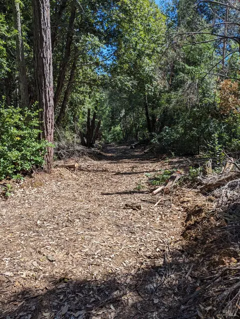30928 King Ridge Rd, Cazadero, CA 95421