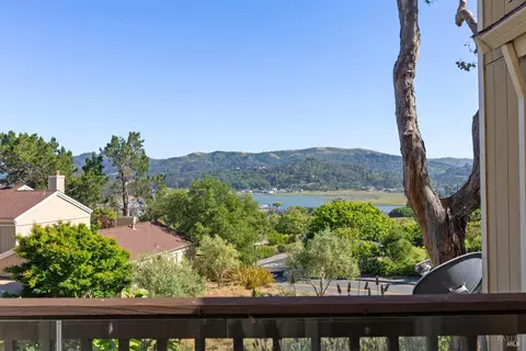 4 Brooke Cir, Mill Valley, CA 94941 photo 11