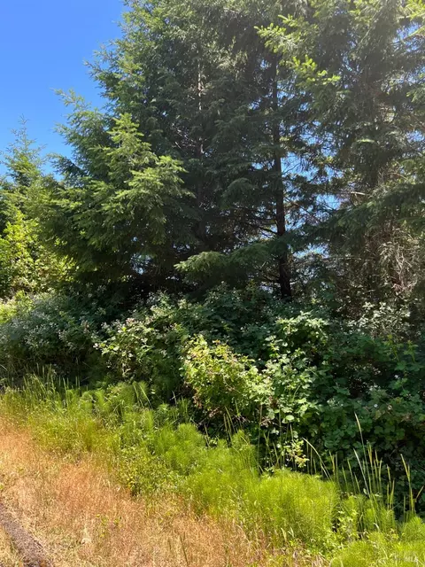 1523 Acacia Pl, Willits, CA 95490 photo 9
