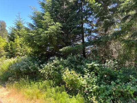 1523 Acacia Pl, Willits, CA 95490 photo 8