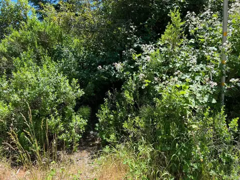 1523 Acacia Pl, Willits, CA 95490 photo 6