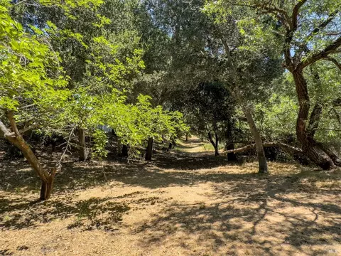 95 Ramon St, Sonoma, CA 95476 photo 29