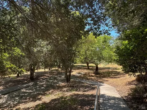 95 Ramon St, Sonoma, CA 95476 photo 31