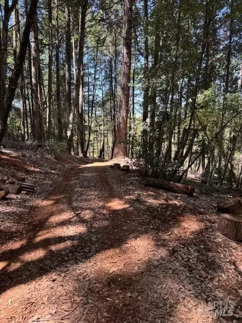 29300 Pinecrest Rd, Willits, CA 95490 photo 6