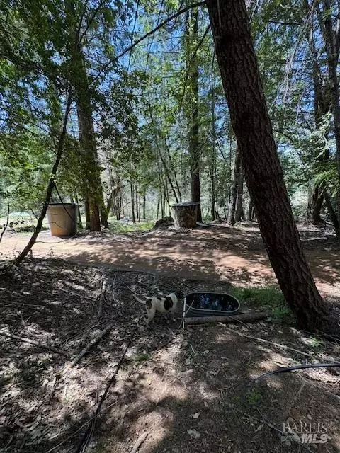 29300 Pinecrest Rd, Willits, CA 95490 photo 12