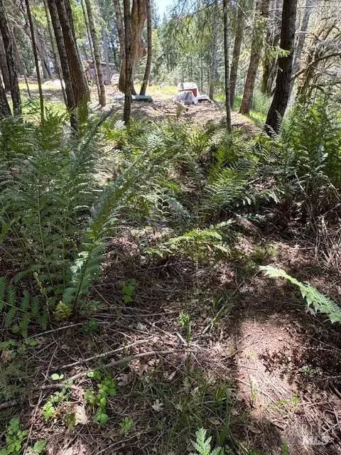 29300 Pinecrest Rd, Willits, CA 95490 photo 13