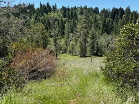 29300 Pinecrest Rd, Willits, CA 95490 photo 14