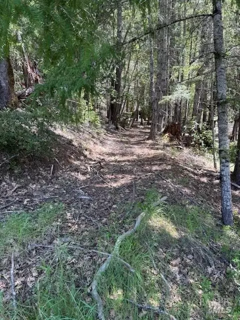 29300 Pinecrest Rd, Willits, CA 95490 photo 21