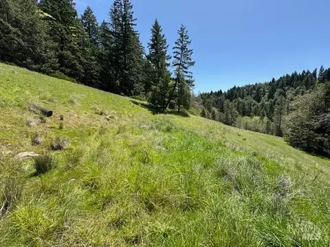 29300 Pinecrest Rd, Willits, CA 95490 photo 2