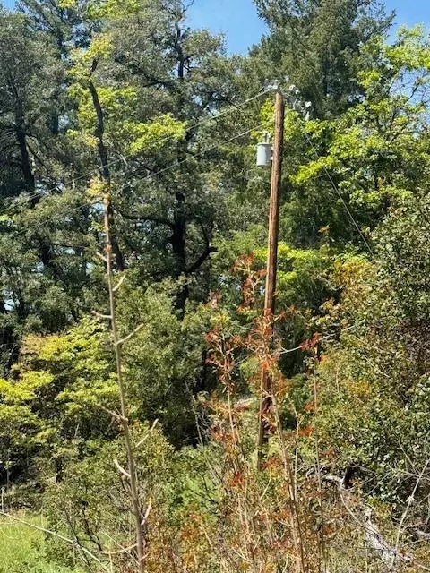 29300 Pinecrest Rd, Willits, CA 95490 photo 28
