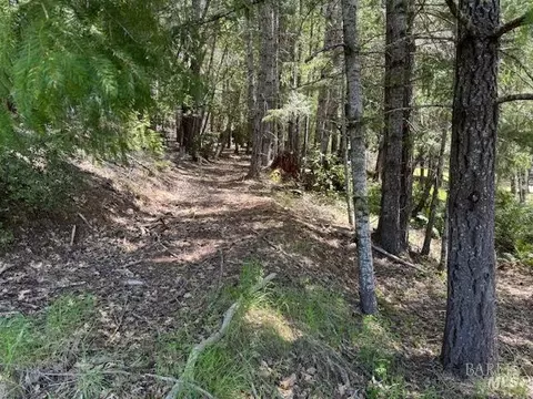 29300 Pinecrest Rd, Willits, CA 95490 photo 22