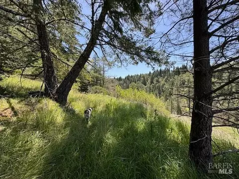 29300 Pinecrest Rd, Willits, CA 95490 photo 19