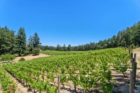 1125 Las Posadas Rd, Angwin, CA 94508 photo 47
