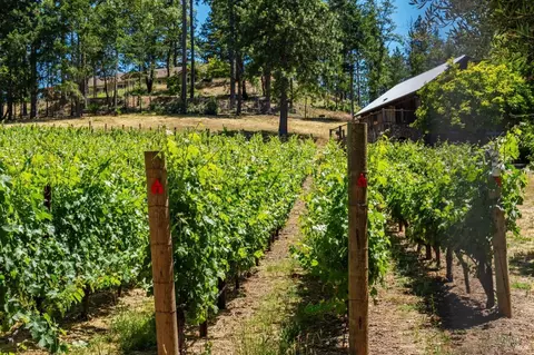 1125 Las Posadas Rd, Angwin, CA 94508 photo 50