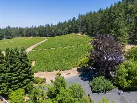 1125 Las Posadas Rd, Angwin, CA 94508 photo 53
