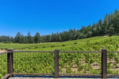 1125 Las Posadas Rd, Angwin, CA 94508 photo 46