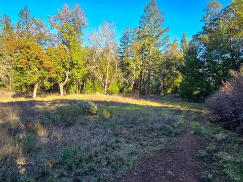 2240 Hilltop Rd, Willits, CA 95490 photo 23