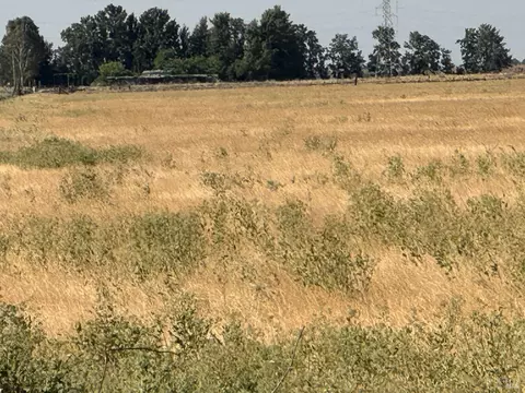 0 Sikes Rd, Dixon, CA 95620