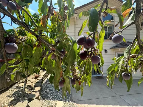 1230 Locust Dr, Vallejo, CA 94591 photo 58