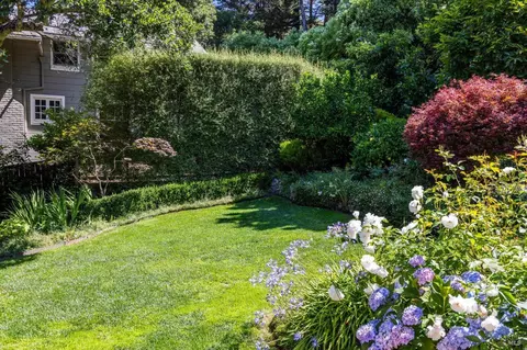 364 Chapman Dr, Corte Madera, CA 94925 photo 47