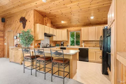 32455 Battleview Dr, Manton, CA 96059 photo 29