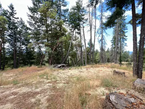 3711 Ridgewood Rd, Willits, CA 95490 photo 36