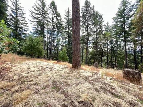 3711 Ridgewood Rd, Willits, CA 95490 photo 37