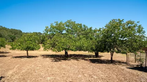 11271 Brooks Rd, Windsor, CA 95492 photo 9