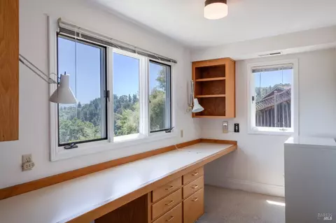 119 Summit Ave, Mill Valley, CA 94941 photo 28